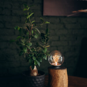 Ozolkoka lampa “Gaismas Līnija”